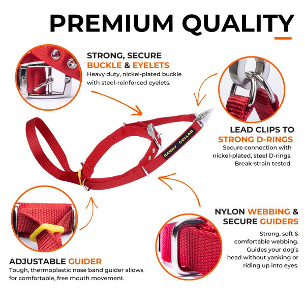 Features of the Canny Collar showing the premium quality