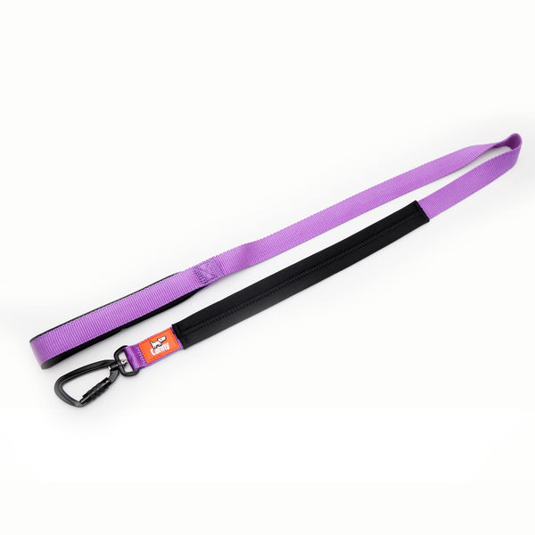 Canny Lead in purple for medium to large dogs with locking carabiner clip. Neoprene handle & grip.