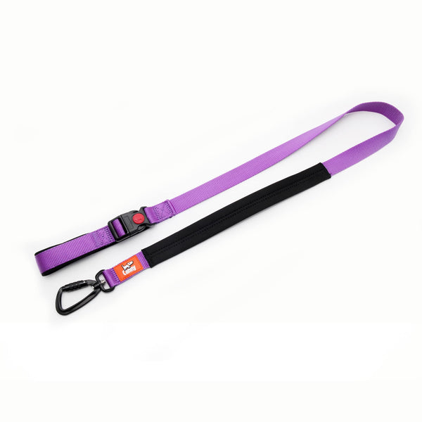 Canny Connect Lead in purple for medium to large dogs. With lockable buckle on handle and locking carabiner clip.