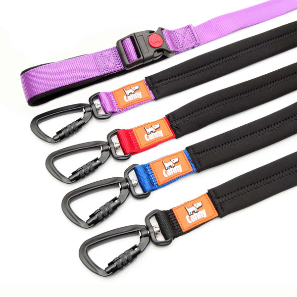 Range of Canny CONNECT Leads in 4 colours. With lockable buckle on handle and locking carabiner clip.