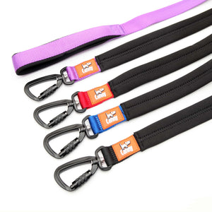 Range of Canny Leads in 4 colours with locking carabiner clip. Neoprene padded and handle & grip. 