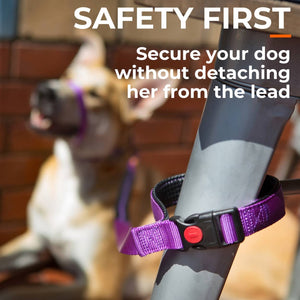 Dog lead with lockable buckle on handle that opens to secure it to a fixed point